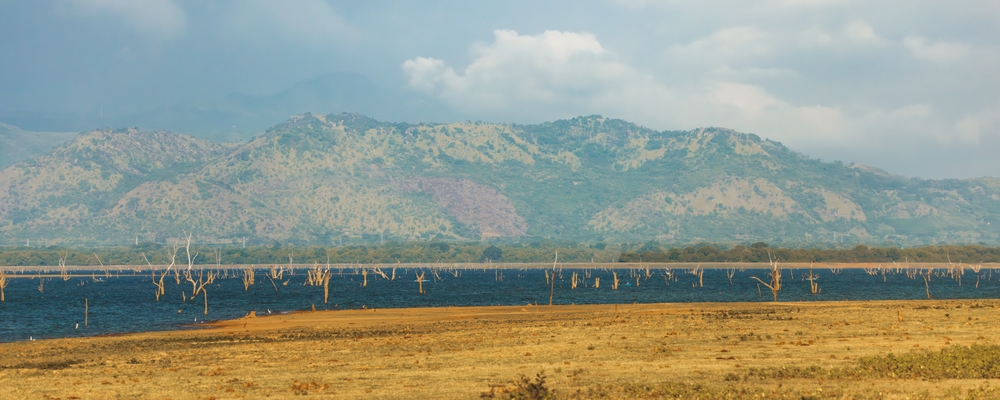 Uda Walawe National Park