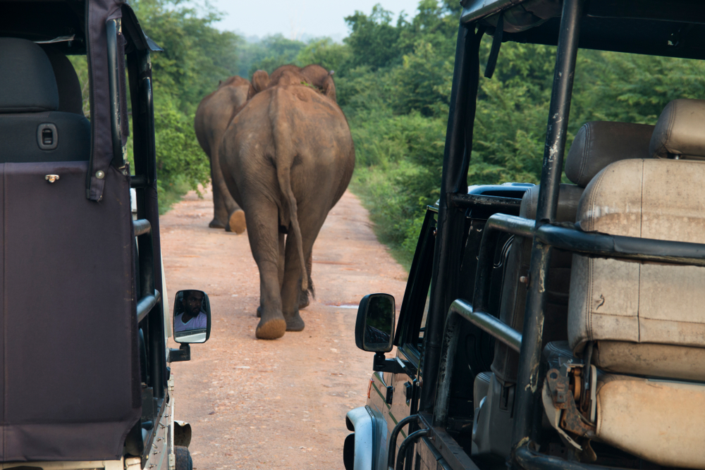 uda walawe national park safari