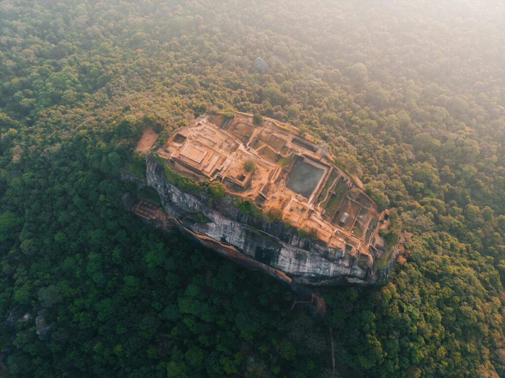 an aerial view of a building in the middle of a forest