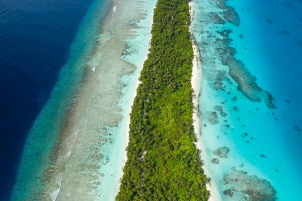 A stunning aerial shot of a lush tropical island surrounded by turquoise waters in the Maldives.