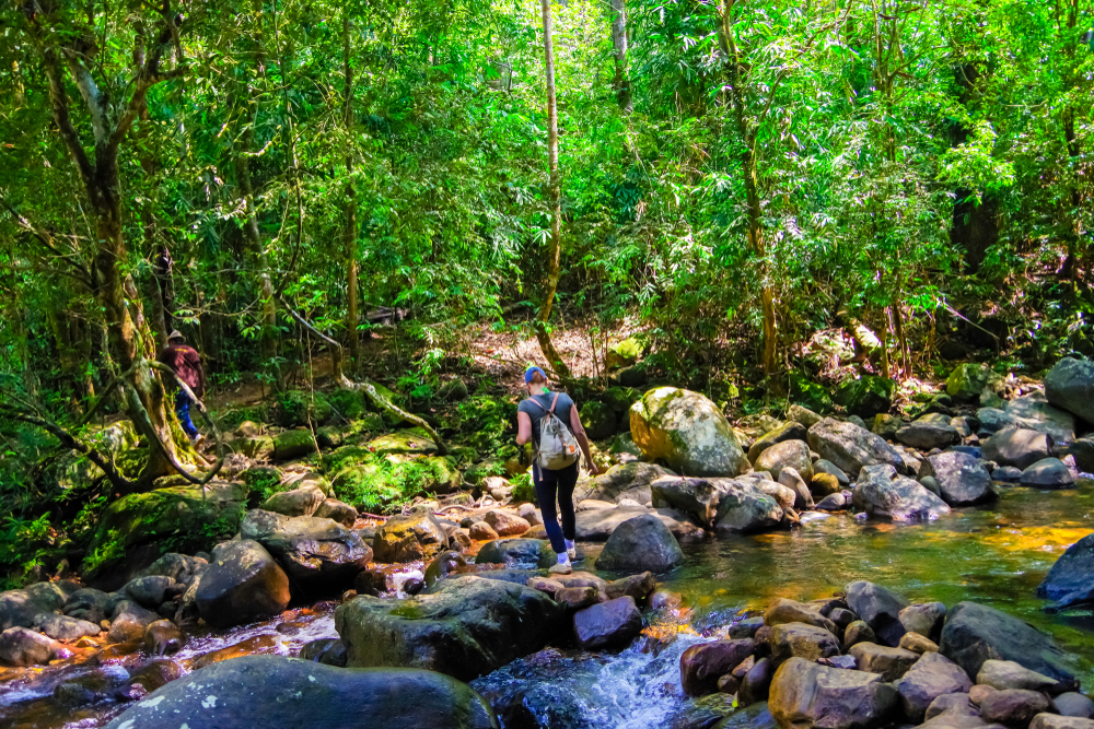 Sinharaja Forest