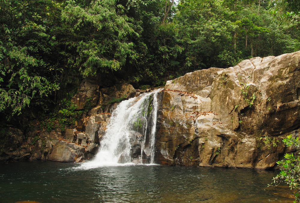 Sinharaja Rainforest Waterfall